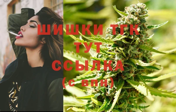 дмт Верея