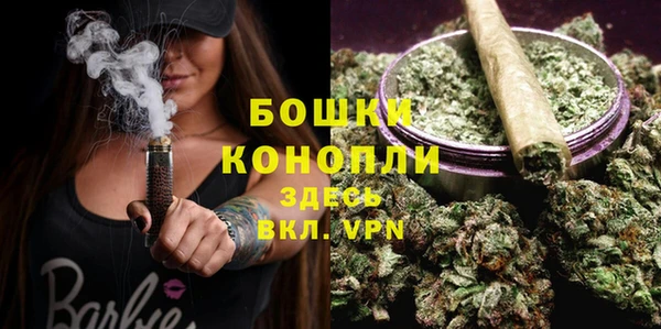 стаф Верхний Тагил