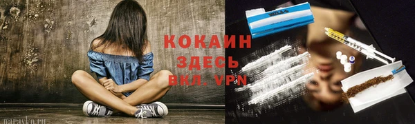 дмт Верея