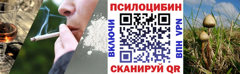 хочу Карталы МЕГА ТОР Галлюциногенные грибы Psilocybe