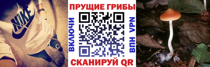 Псилоцибиновые грибы Magic Shrooms Карталы